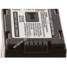 Akku fr Panasonic NV-MX5000 5400mAh